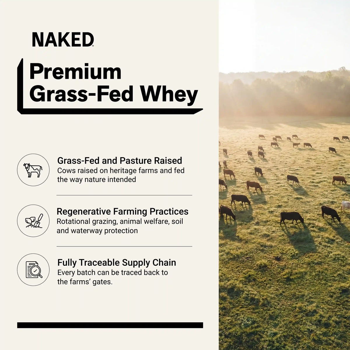 Chocolate Peanut Butter Whey Protein Powder 2LB | Naked Whey - 2LB
