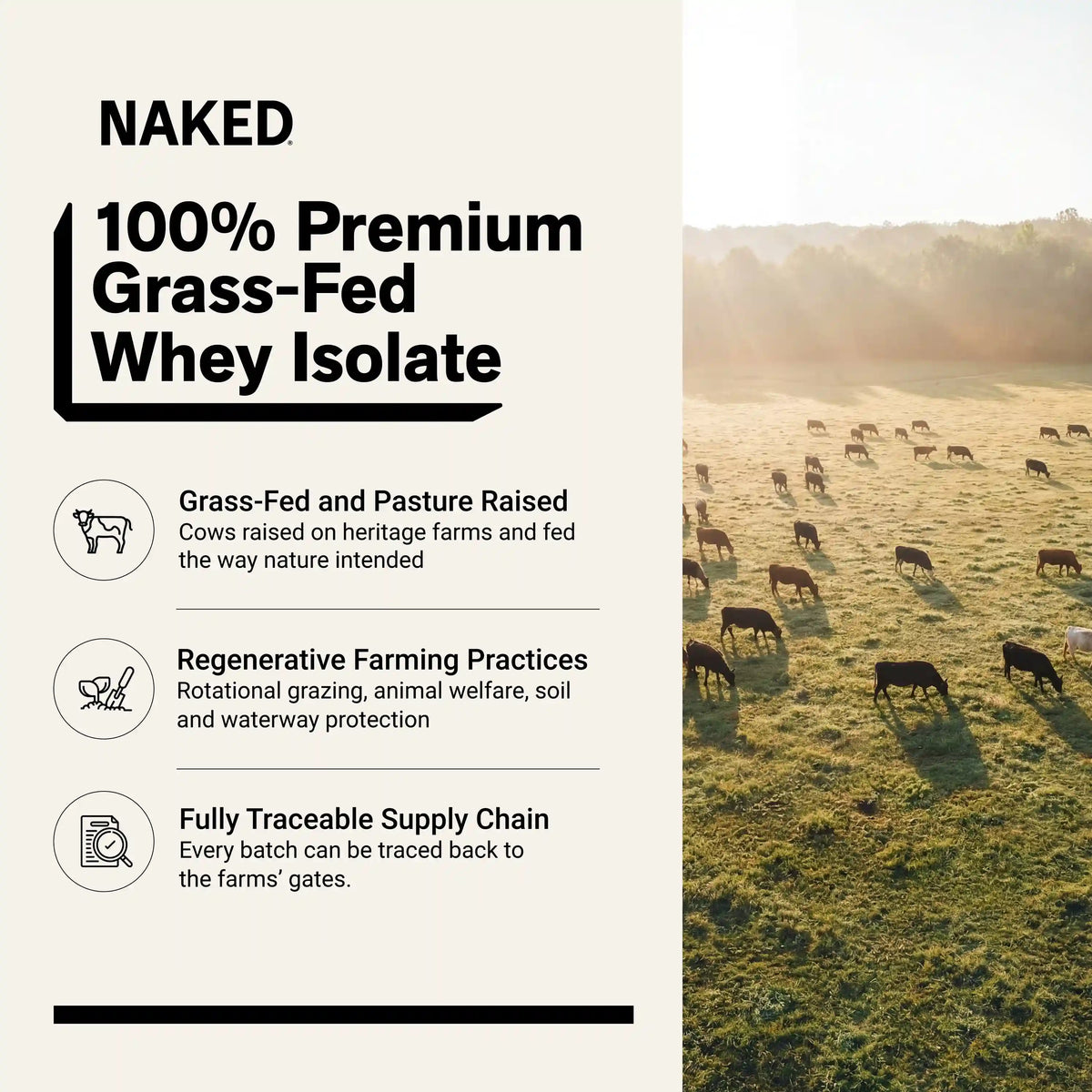 Vanilla Grass-Fed Whey Isolate Protein Powder | Naked Whey Isolate - 2LB
