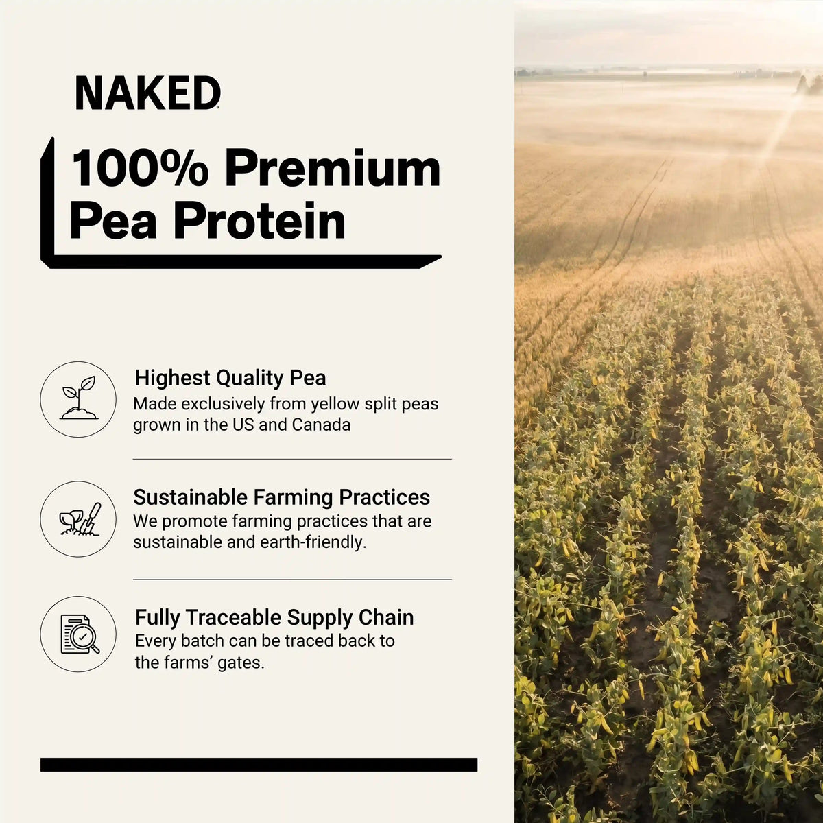 Vanilla Pea Protein Powder | Naked Vanilla Pea - 2LB